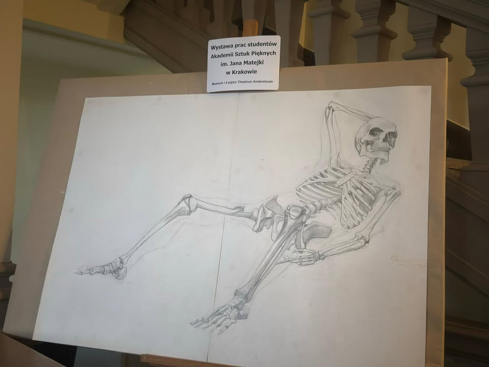 Krak Muzeum Anatomii 3 L A Szkolne Wycieczki Nauka Jest Fajna Biologia W Praktyce